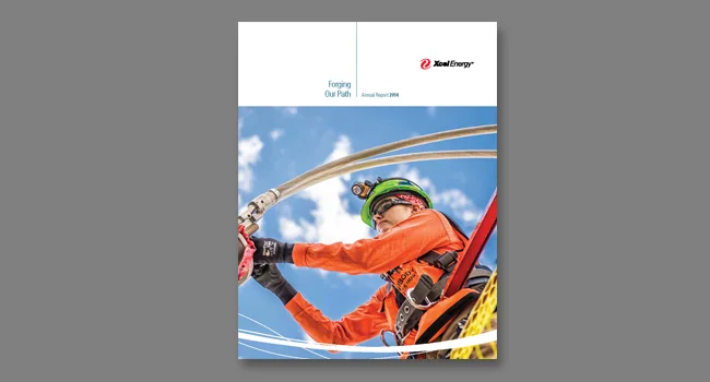 2014 Xcel Energy Annual Report